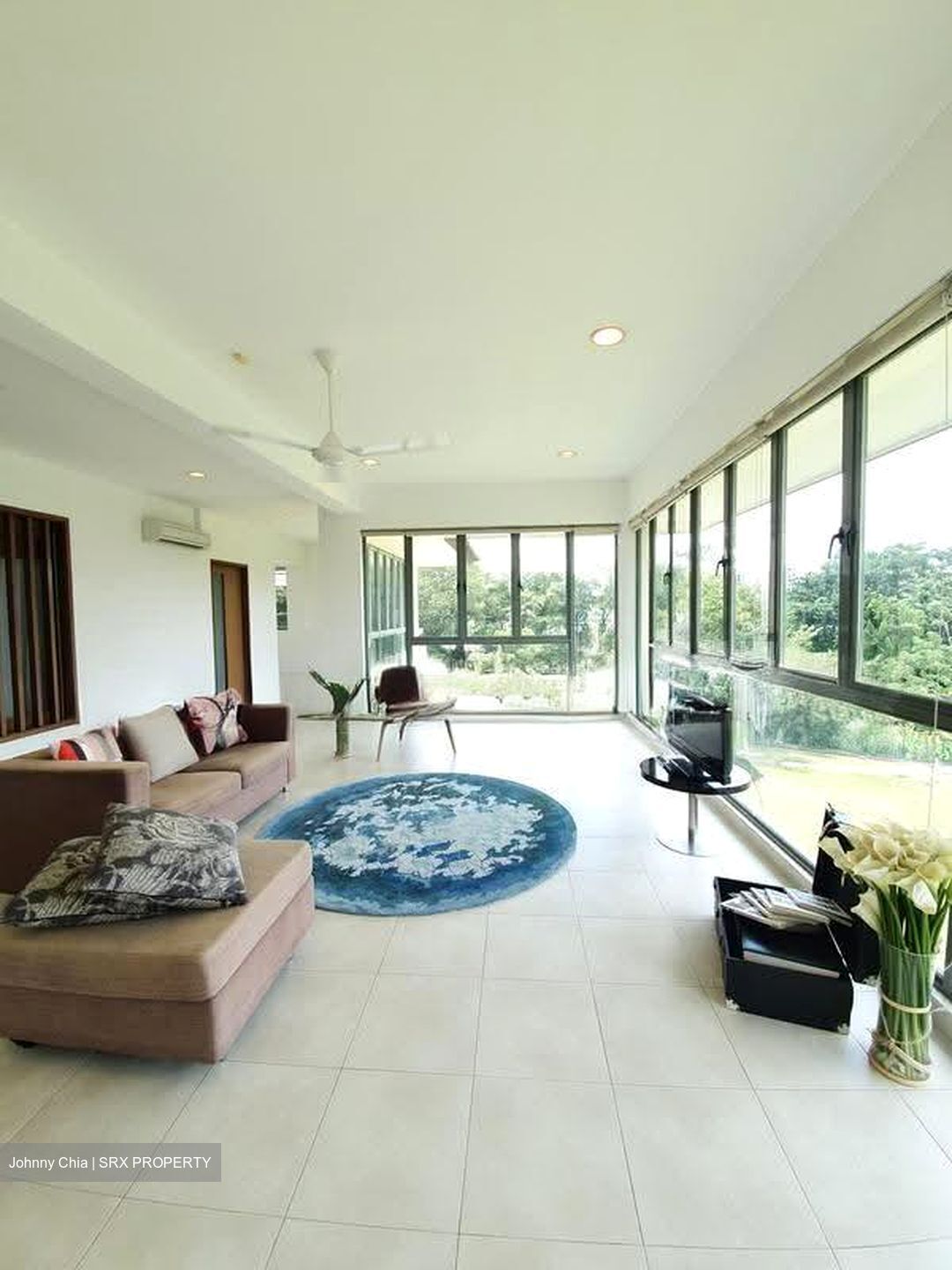 King Albert Park (D21), Detached #634639591